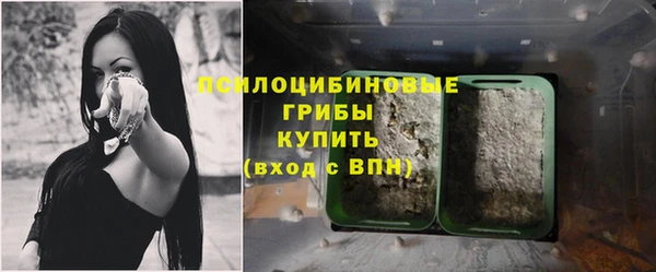прущие крисы Богородск