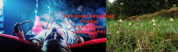 прущие крисы Богородск