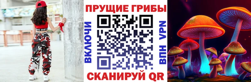 где купить   Бузулук  Псилоцибиновые грибы мицелий 