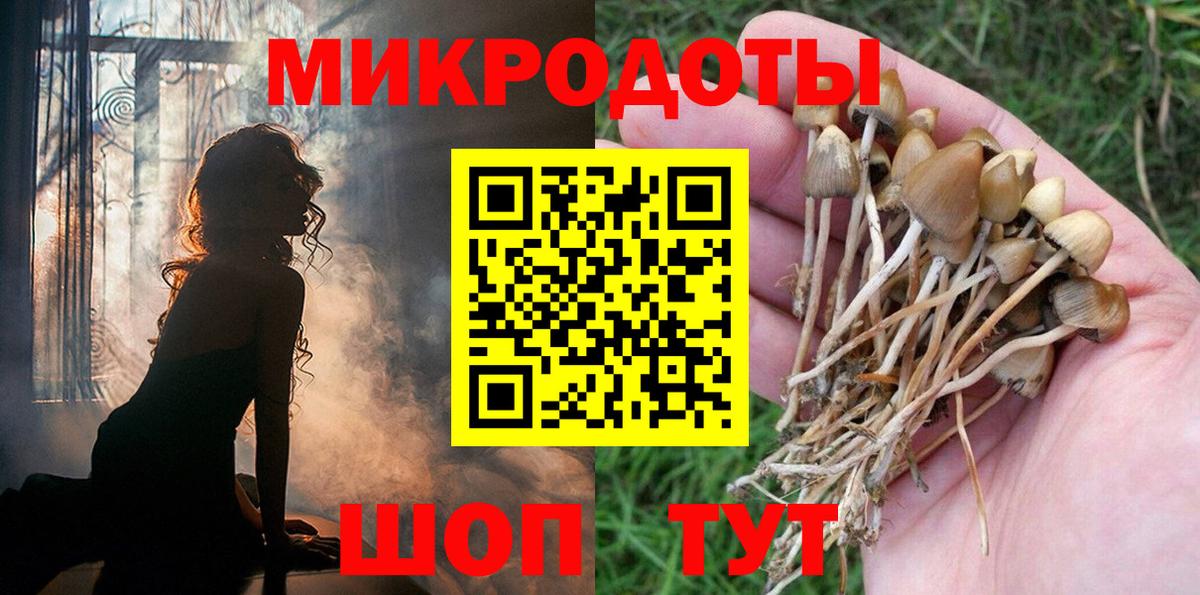 Галлюциногенные грибы MAGIC MUSHROOMS Бузулук