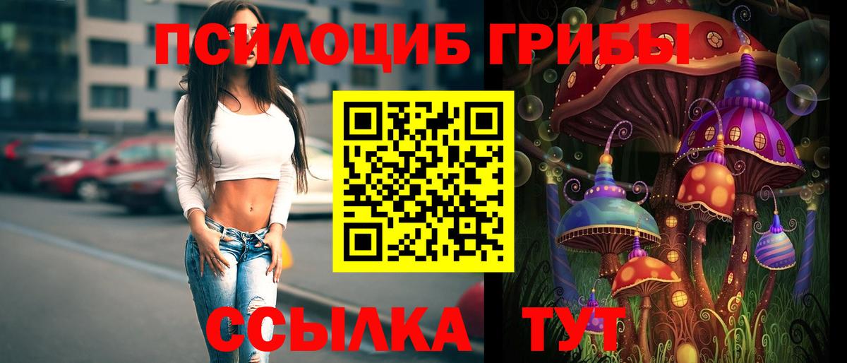 Псилоцибиновые грибы Psilocybe  Бузулук 